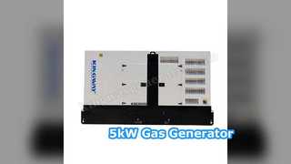 Solução de energia confiável para gerador de gás 5kw