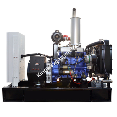 Grupo duplo silencioso Cummins Engine do diesel do combustível de 20KW 25KVA e do biogás de gerador